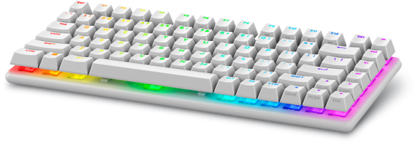 Alienware Pro Wireless Gaming Keyboard