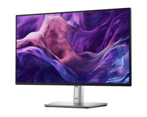 23.8 "P2425H 100Hz Professional IPS monitor