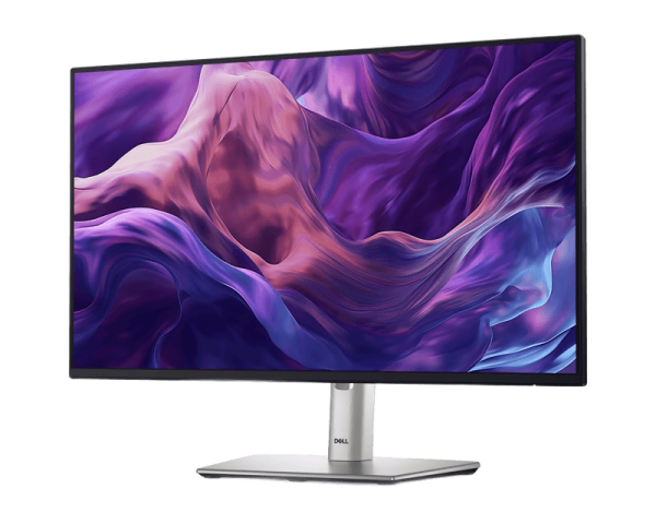 Dell 23.8 "P2425H 100Hz Professional IPS monitor