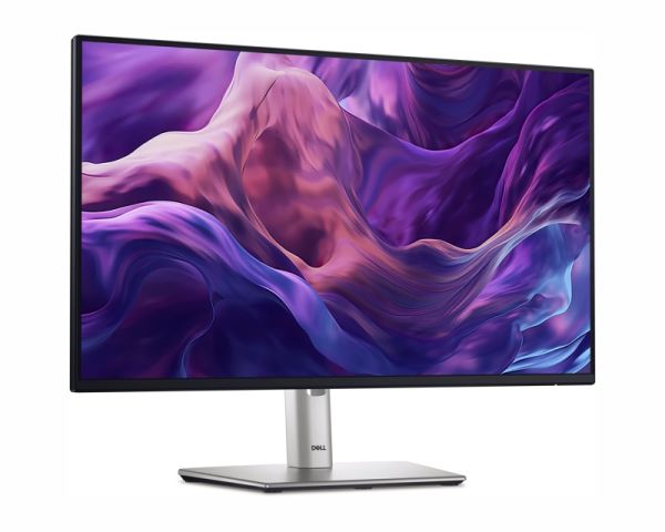 23.8 "P2425H 100Hz Professional IPS monitor