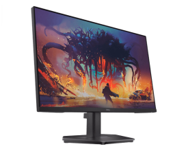 Dell 23.8" SE2425HG 200Hz Freesync IPS Gaming Monitor
