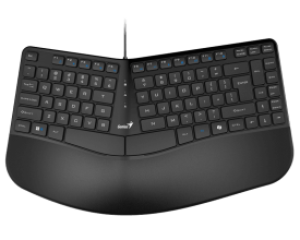 Genius Ergo KB-700 USB US Keyboard Black